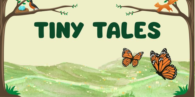 Serene grasslands with soft bubble letters spelling tiny tales