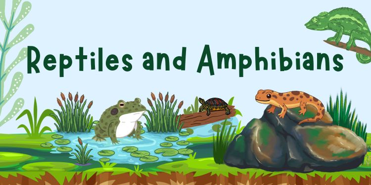 Banner for the reptiles and amphibians, pond animals sit in a swampy area below the title of the program.