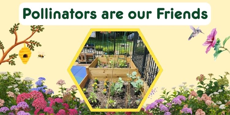 pollinators are our friends program banner, bees birds and flowers surround the sensory garden bed.