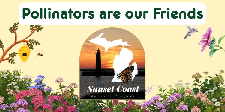 pollinators are our friends program banner, bees birds and flowers surround the sensory garden bed.